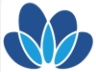 中化高新基金