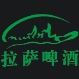 西藏发展
