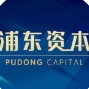 浦东资本