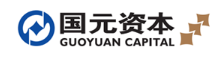国元投资