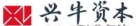 兴牛资本
