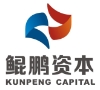 深圳鲲鹏资本