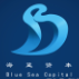 海蓝资本