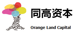 同高资本