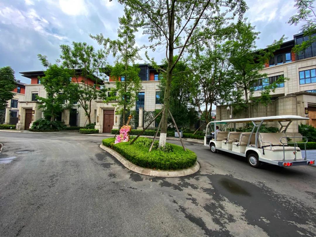 爱奇艺x天府长岛搞大事!-精灵数据