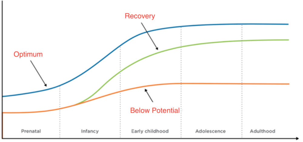 从一个示意图来看,图中蓝色曲线是人认知能力随年龄正常发展和变化的