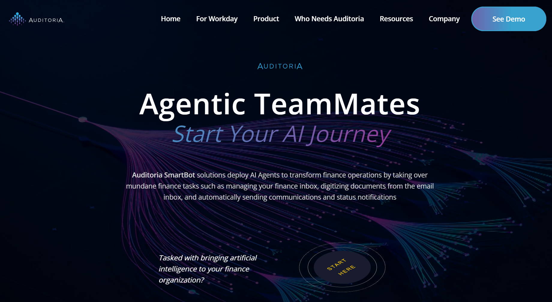 Auditoria.AI 在B轮融资中获得了3800万美元