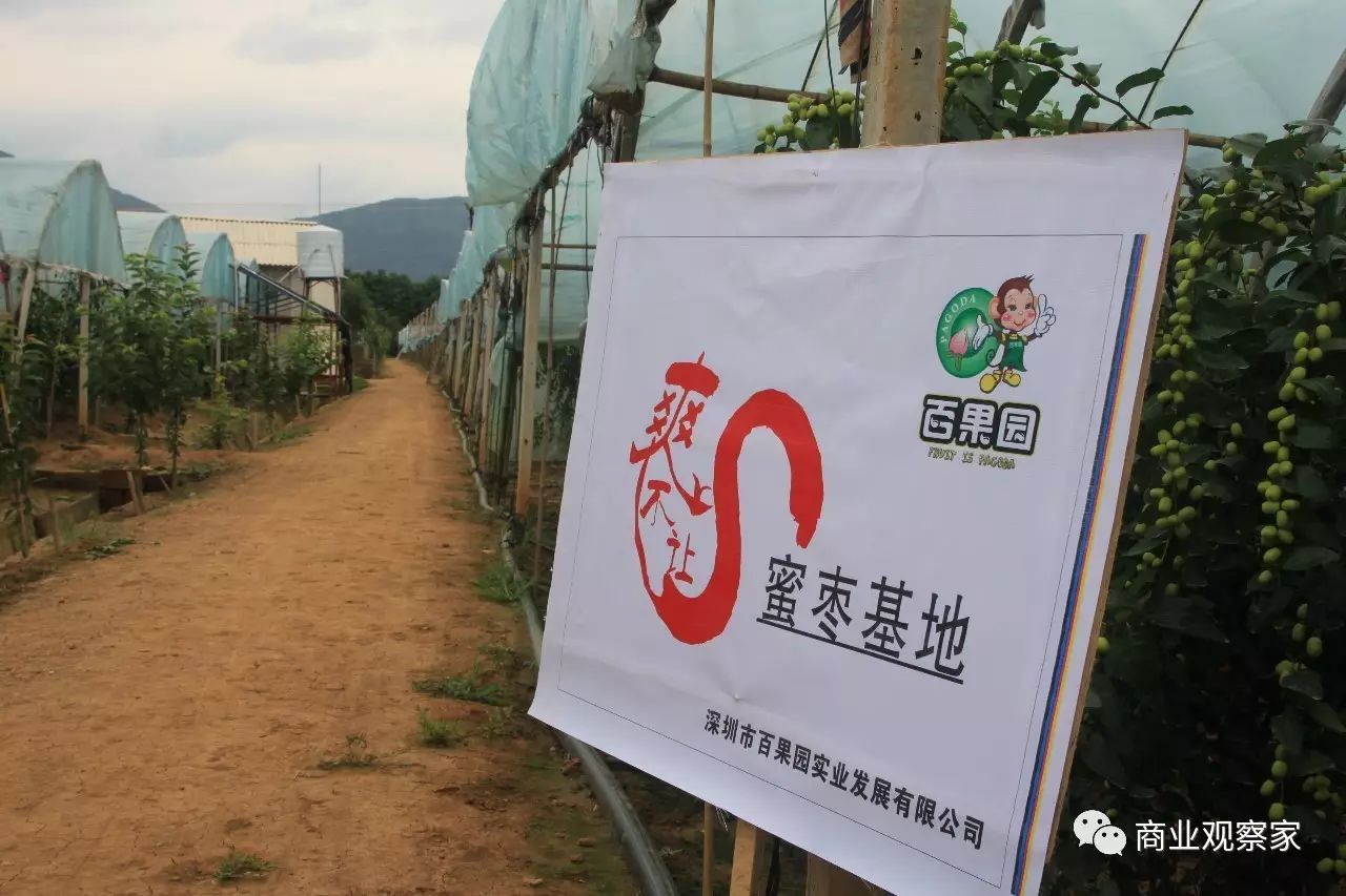 百果园的直采基地.