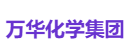 万华化学集团