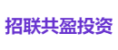 招联共盈投资