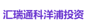 汇瑞通科洋浦投资