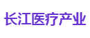 长江医疗产业