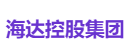 海达控股集团