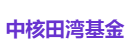 中核田湾基金