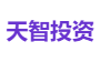 天智投资