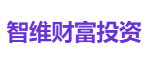 智维财富投资