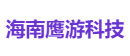 海南鹰游科技
