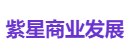 紫星商业发展
