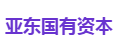 亚东国有资本