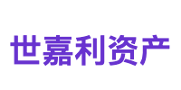 世嘉利资产