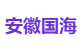 安徽国海