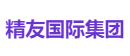 精友国际集团