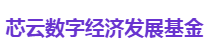 芯云数字经济发展基金