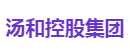 汤和控股集团