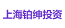 上海铂绅投资