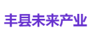 丰县未来产业