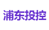 浦东投控