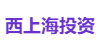 西上海投资