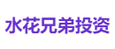 水花兄弟投资