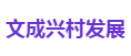 文成兴村发展