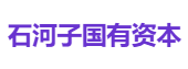 石河子国有资本