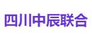 四川中辰联合