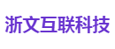 浙文互联科技