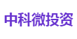 中科微投资
