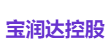 宝润达控股