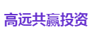 高远共赢投资