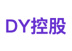 DY控股