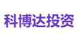 科博达投资