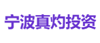 宁波真灼投资