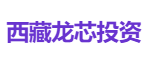 西藏龙芯投资