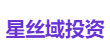 星丝域投资