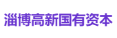 淄博高新国有资本