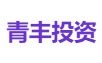 青丰投资