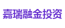 嘉瑞融金投资