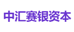 中汇赛银资本