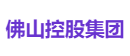 佛山控股集团